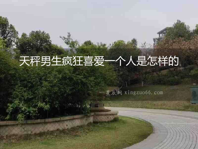 天秤男生瘋狂喜愛一個人是怎樣的