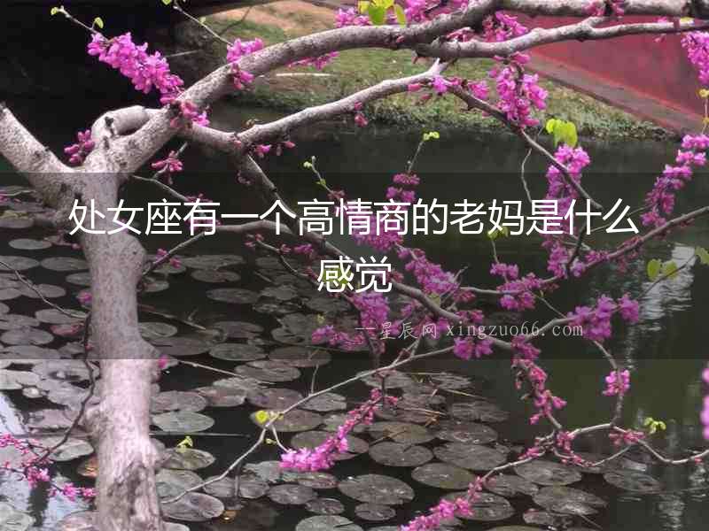 處女座有一個高情商的老媽是什么感覺