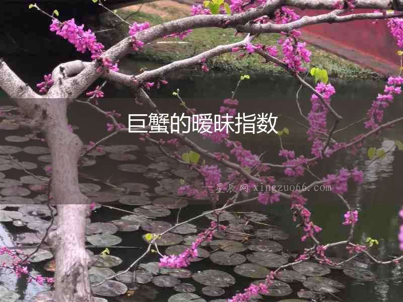 巨蟹的曖昧指數(shù)