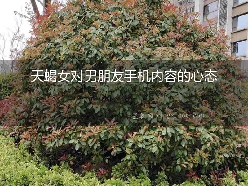天蝎女對男朋友手機內容的心態(tài)