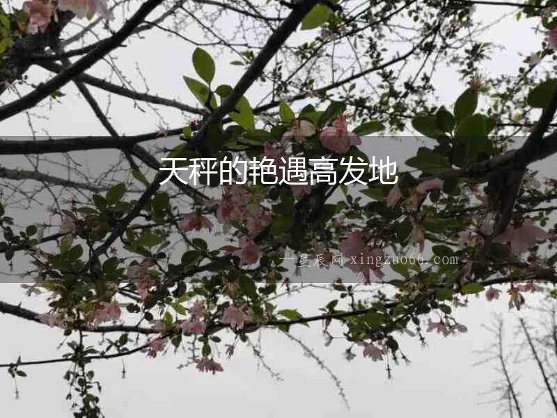 天秤的艷遇高發地
