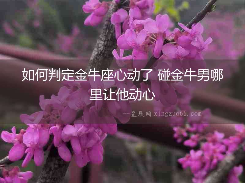 如何判定金牛座心動(dòng)了 碰金牛男哪里讓他動(dòng)心