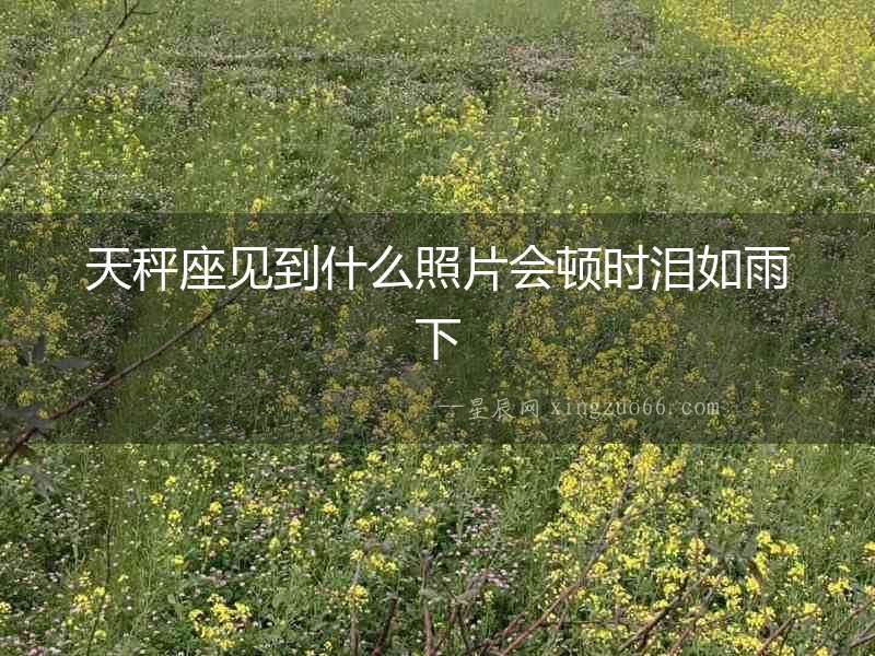 天秤座見到什么照片會頓時淚如雨下