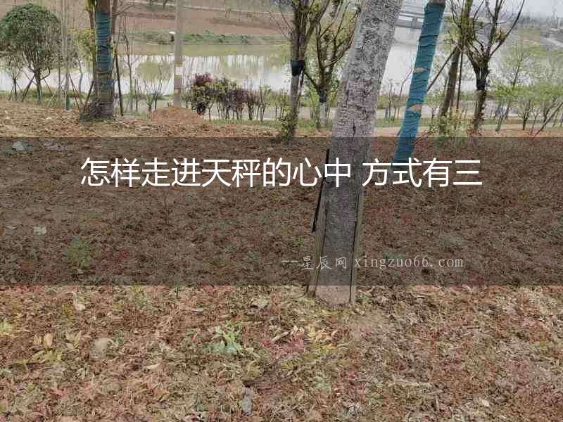 怎樣走進天秤的心中 方式有三