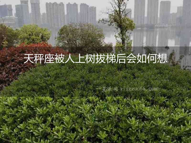 天秤座被人上樹拔梯后會如何想