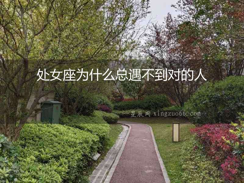 處女座為什么總遇不到對的人