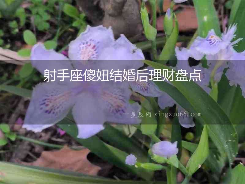 射手座傻妞結(jié)婚后理財盤點