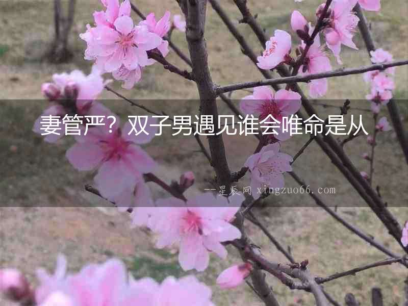 妻管嚴？雙子男遇見誰會唯命是從