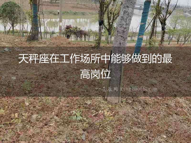 天秤座在工作場(chǎng)所中能夠做到的最高崗位