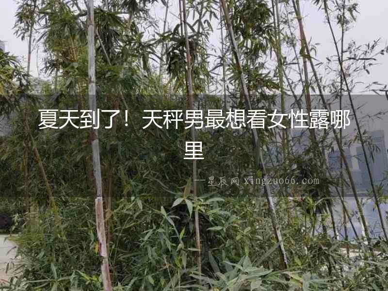 夏天到了！天秤男最想看女性露哪里
