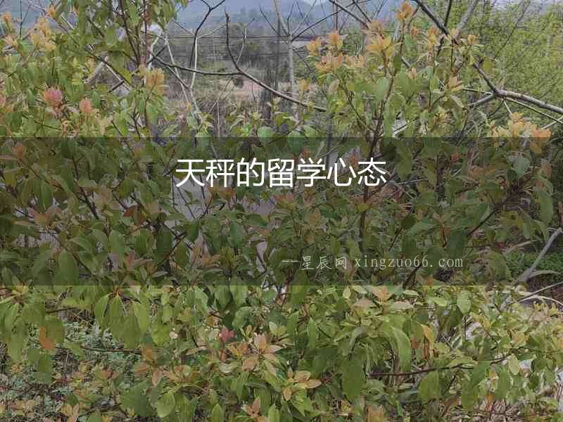 天秤的留學心態