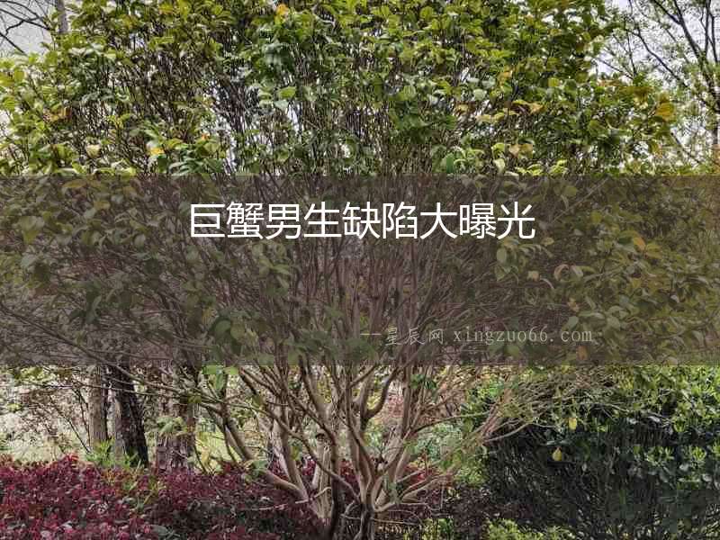 巨蟹男生缺陷大曝光