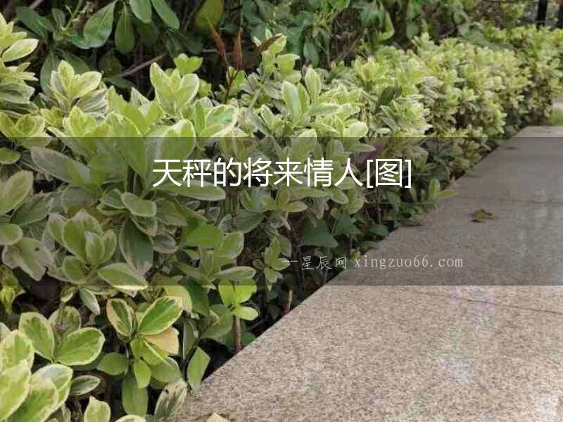 天秤的將來情人[圖]