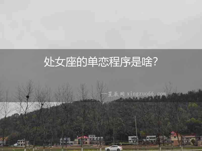 處女座的單戀程序是啥？