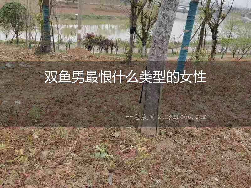 雙魚男最恨什么類型的女性