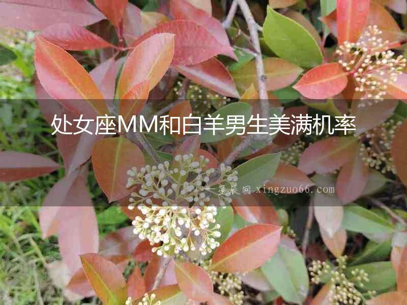 處女座MM和白羊男生美滿機率