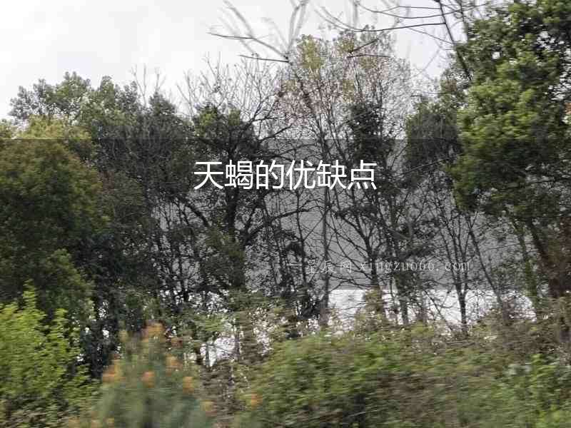 天蝎的優缺點