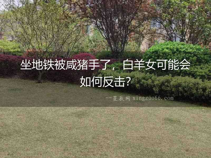 坐地鐵被咸豬手了，白羊女可能會(huì)如何反擊？