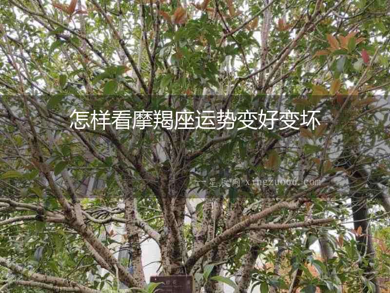 怎樣看摩羯座運(yùn)勢(shì)變好變壞