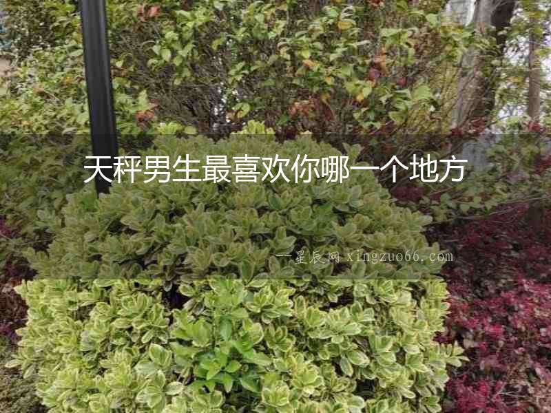 天秤男生最喜歡你哪一個地方