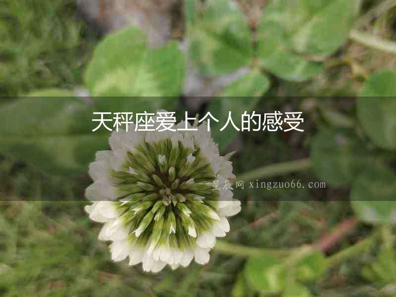 天秤座愛上個人的感受