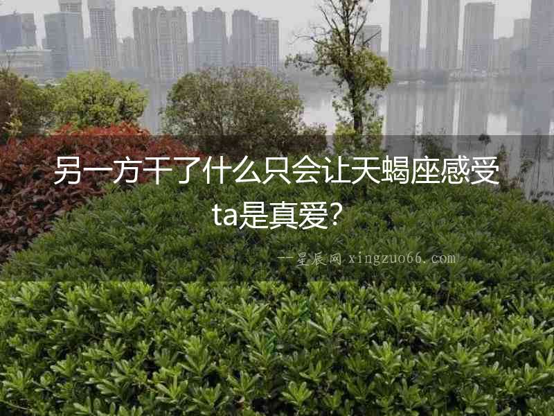 另一方干了什么只會讓天蝎座感受ta是真愛？