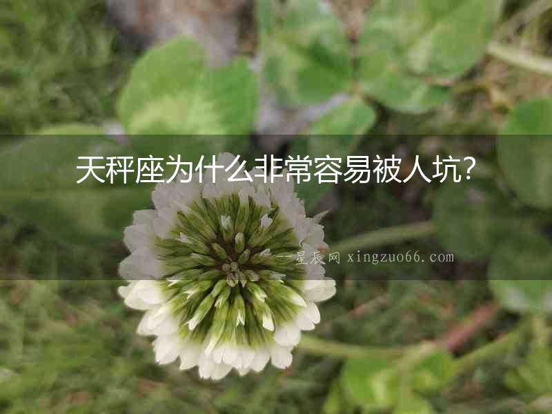 天秤座為什么非常容易被人坑？