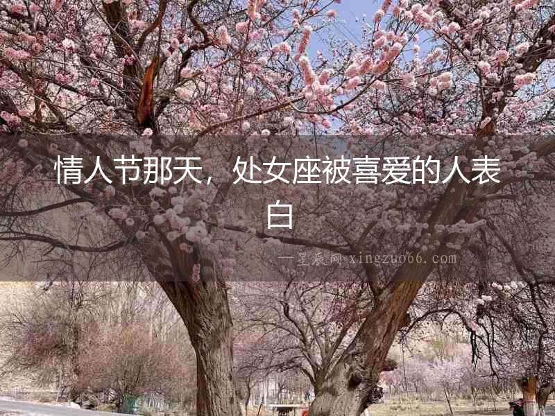 情人節那天，處女座被喜愛的人表白