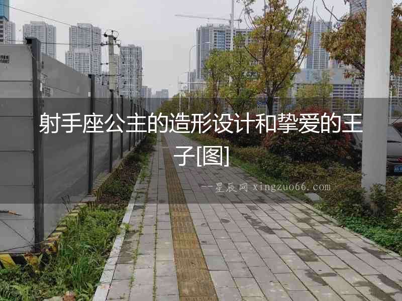 射手座公主的造形設(shè)計(jì)和摯愛的王子[圖]