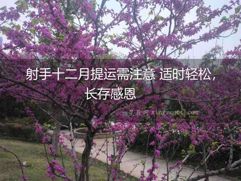 射手十二月提運(yùn)需注意 適時(shí)輕松，長(zhǎng)存感恩  　　