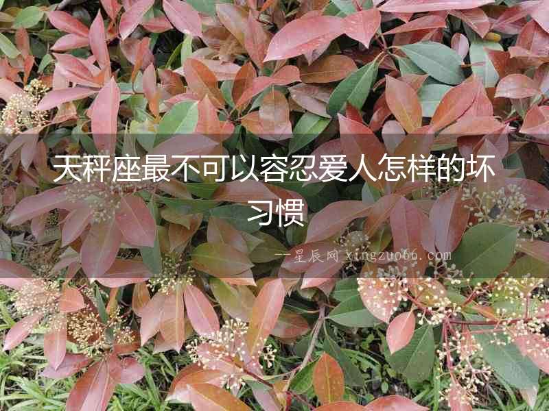 天秤座最不可以容忍愛(ài)人怎樣的壞習(xí)慣