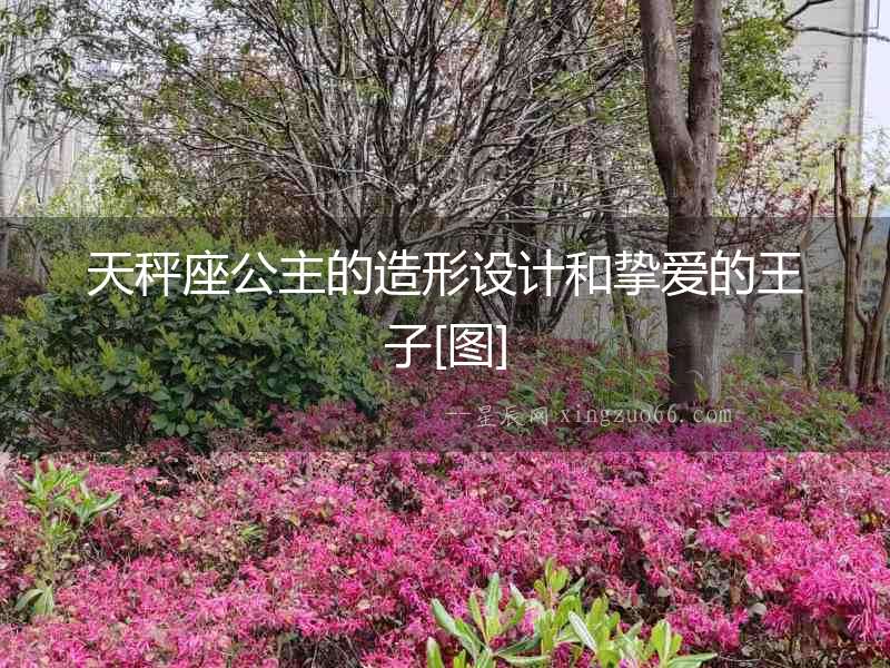 天秤座公主的造形設(shè)計(jì)和摯愛(ài)的王子[圖]