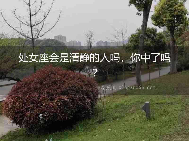 處女座會是清靜的人嗎，你中了嗎？