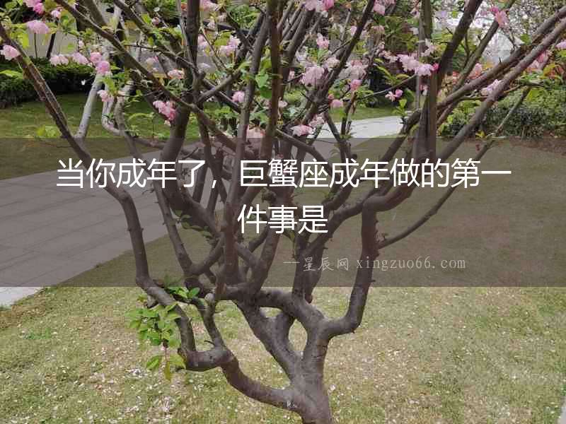 當你成年了，巨蟹座成年做的第一件事是