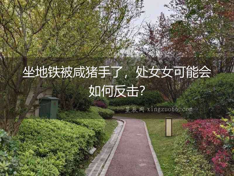 坐地鐵被咸豬手了，處女女可能會如何反擊？