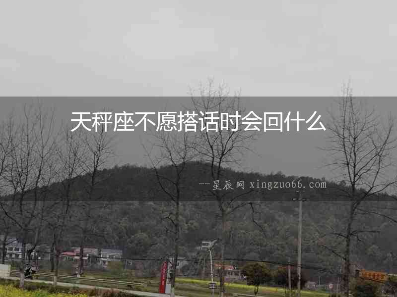 天秤座不愿搭話時會回什么