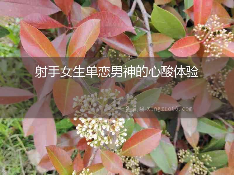 射手女生單戀男神的心酸體驗
