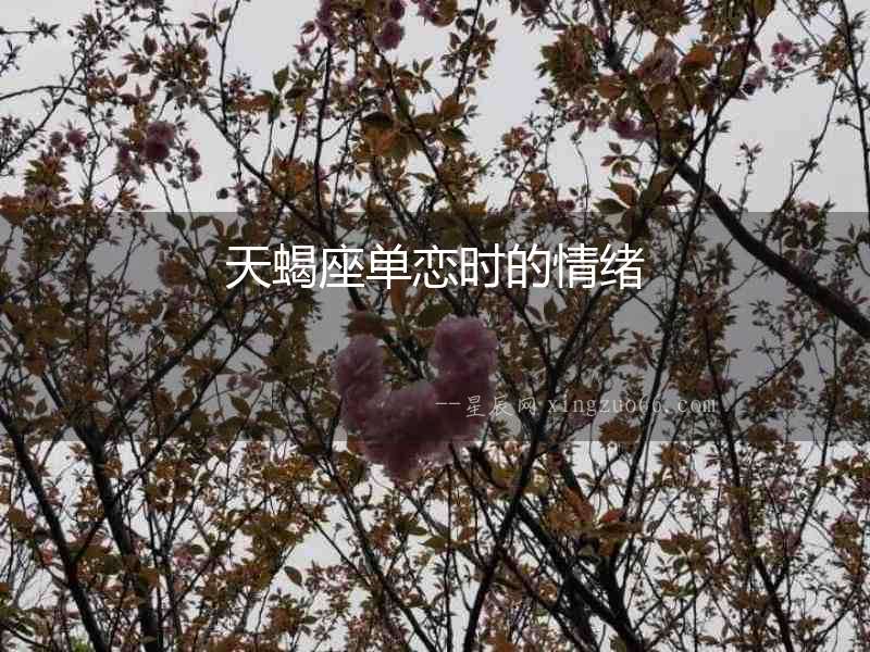 天蝎座單戀時的情緒