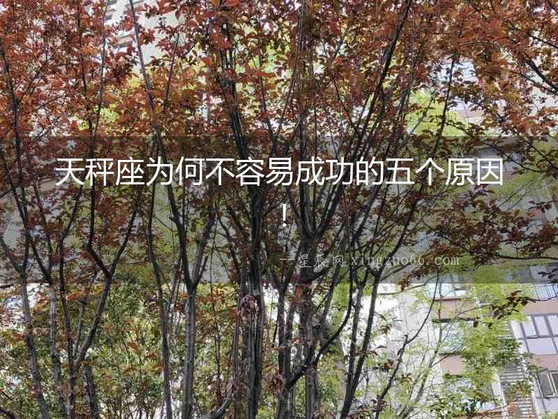 天秤座為何不容易成功的五個原因！