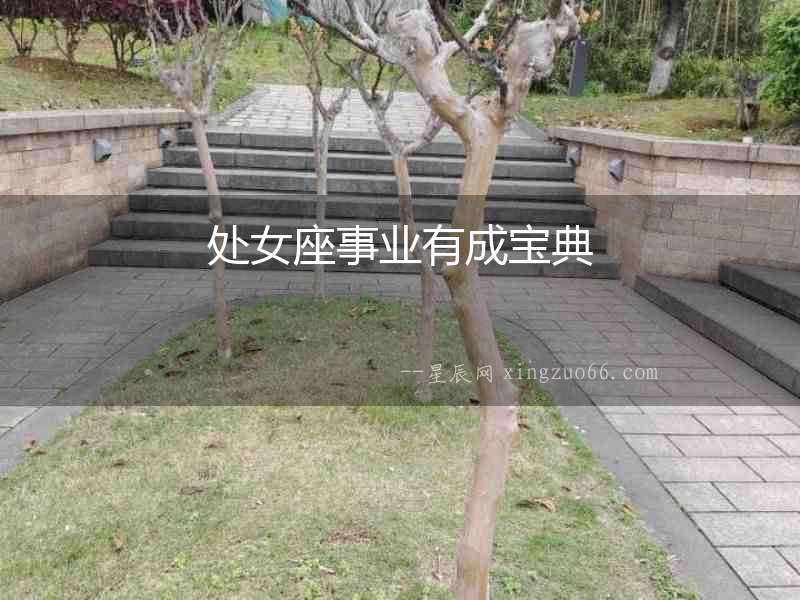 處女座事業(yè)有成寶典