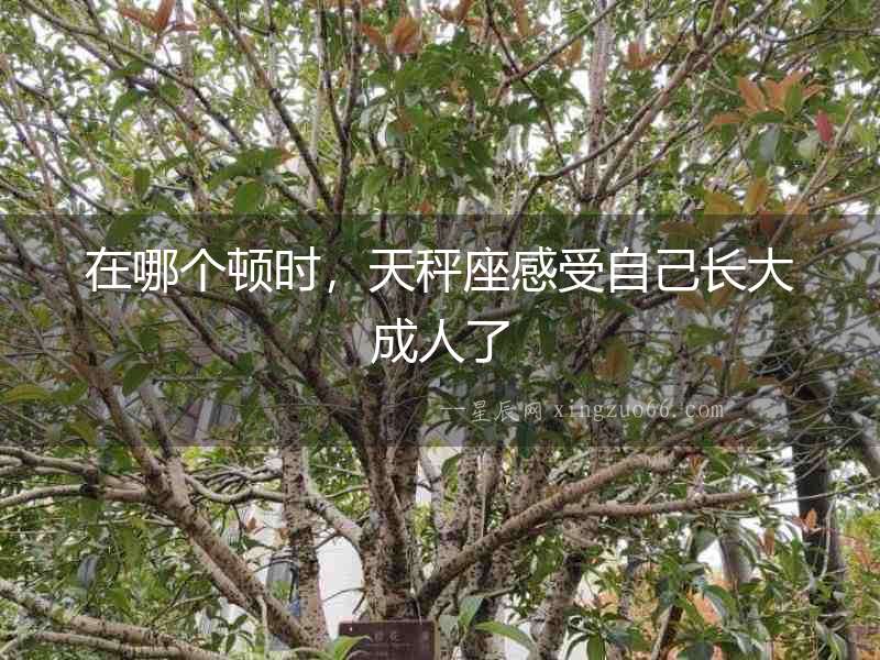 在哪個頓時，天秤座感受自己長大成人了