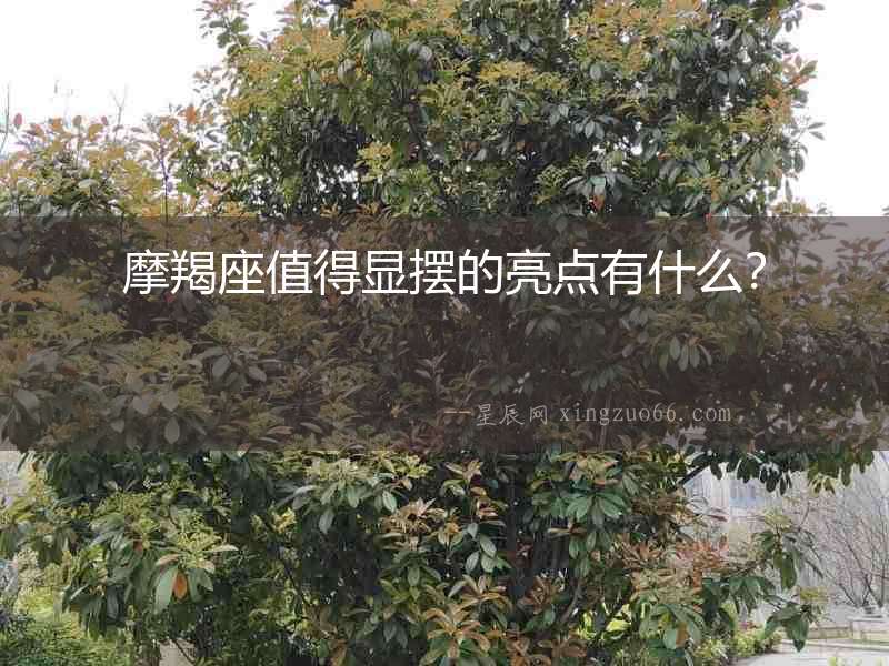 摩羯座值得顯擺的亮點有什么？