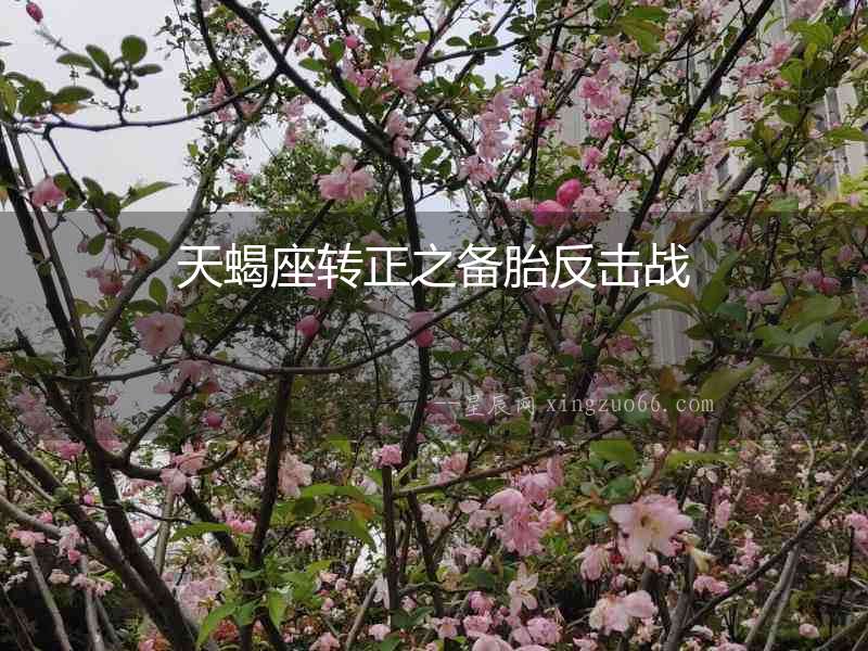 天蝎座轉正之備胎反擊戰