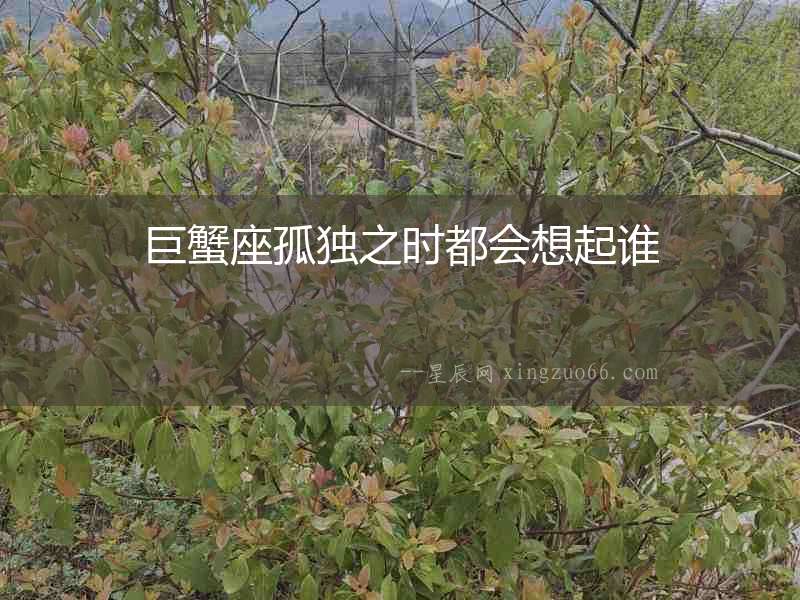巨蟹座孤獨(dú)之時(shí)都會(huì)想起誰(shuí)