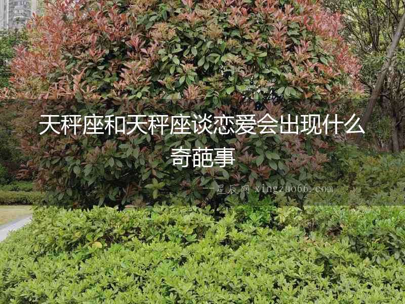 天秤座和天秤座談戀愛會出現什么奇葩事