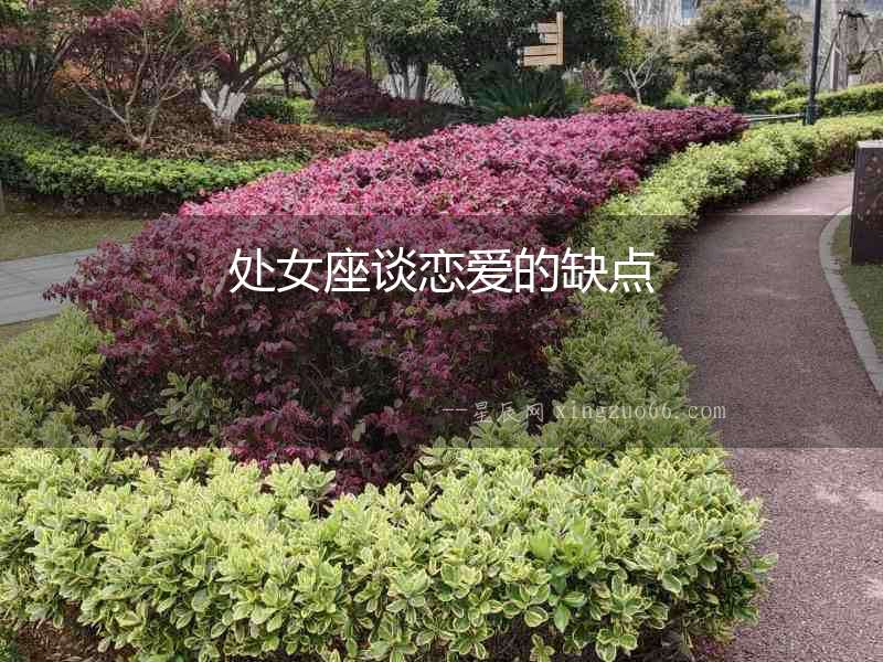 處女座談戀愛的缺點
