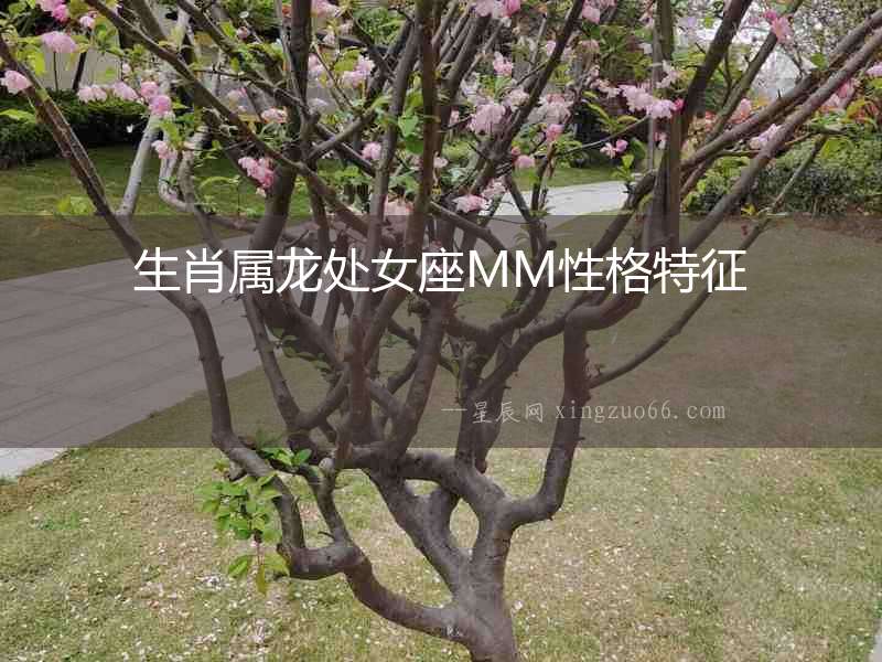 生肖屬龍處女座MM性格特征
