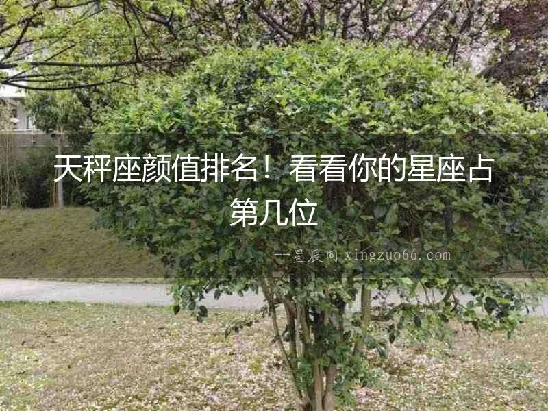 天秤座顏值排名！看看你的星座占第幾位