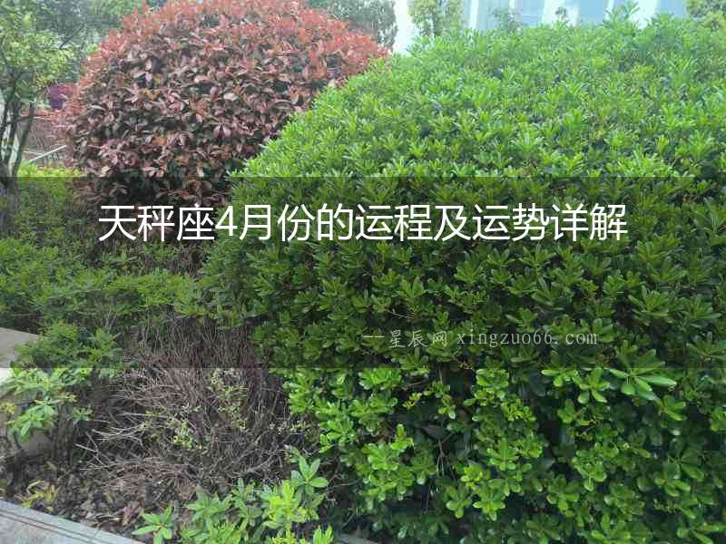 天秤座4月份的運(yùn)程及運(yùn)勢詳解