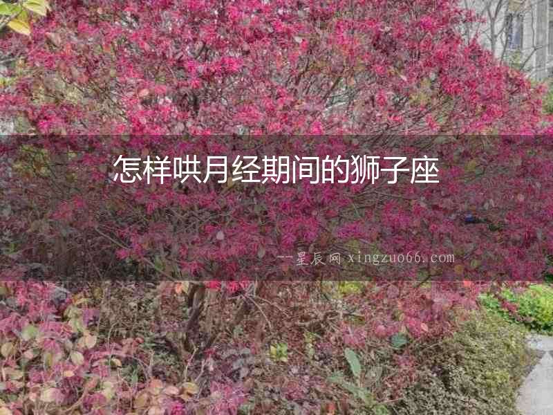 怎樣哄月經(jīng)期間的獅子座